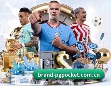 brand-pgpocket.com.cn的故事